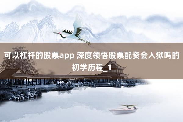 可以杠杆的股票app 深度领悟股票配资会入狱吗的初学历程_1