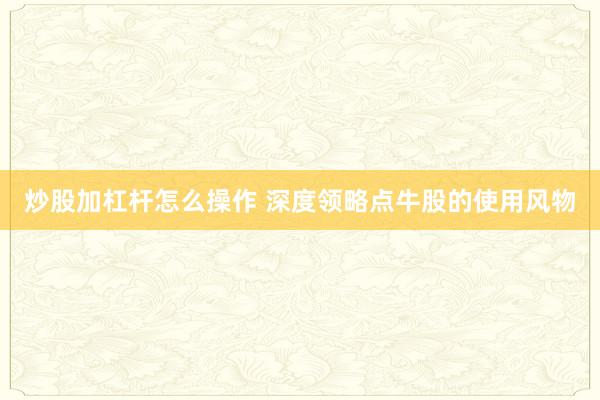 炒股加杠杆怎么操作 深度领略点牛股的使用风物